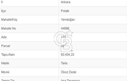 Yatırım ve Kazanç Potansiyeli Yüksek Fırsat - Ana yola 600 metre 63 dönüm Tarla
