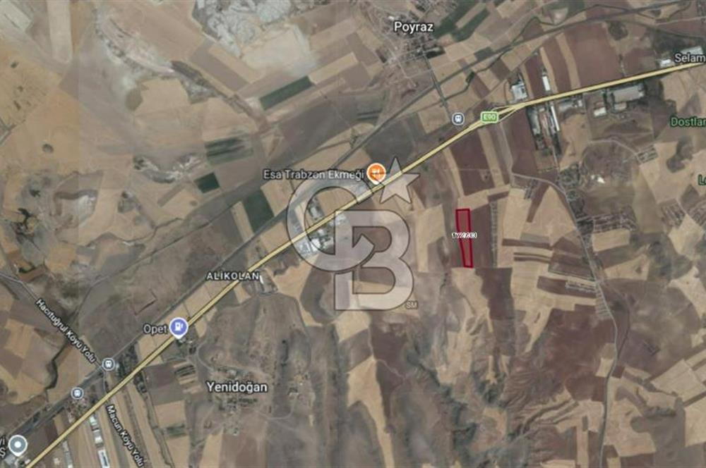 48 dönüm Verimli Satılık Tarla Ana yola 550 metre