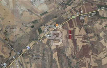 48 dönüm Verimli Satılık Tarla Ana yola 550 metre