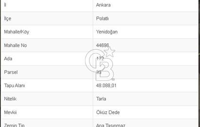 48 dönüm Verimli Satılık Tarla Ana yola 550 metre