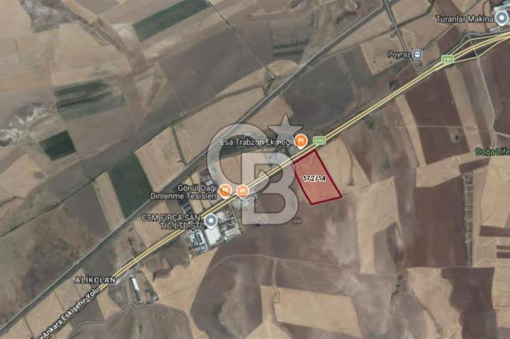 Anayola sıfır 179 yol cepheli 59 dönüm Satılık Tarla