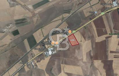 Anayola sıfır 179 yol cepheli 59 dönüm Satılık Tarla