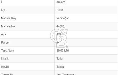 Anayola sıfır 179 yol cepheli 59 dönüm Satılık Tarla