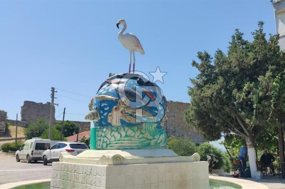 Denize 6 km, Ana Yola 105 mt cepheli, Satılık 22 Dönüm Tarla