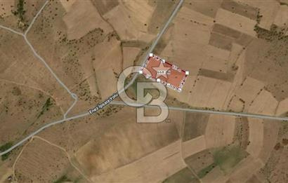 Denize 6 km, Ana Yola 105 mt cepheli, Satılık 22 Dönüm Tarla