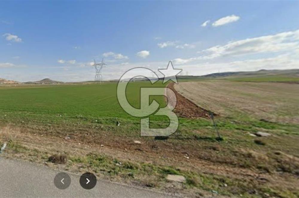 10 HEKTAR 101 DÖNÜM EMSALSİZ SATILIK TARLA