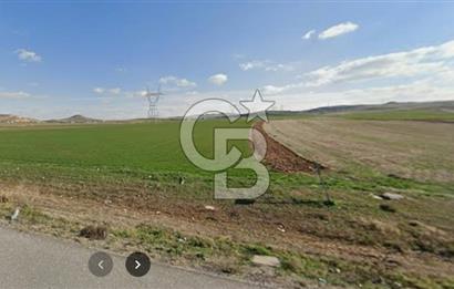 10 HEKTAR 101 DÖNÜM EMSALSİZ SATILIK TARLA