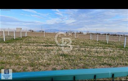 GÖLBAŞI HAYMANA YOLU ÜZERİNDE SATILIK HOBİ BAHÇESİ 400 m2