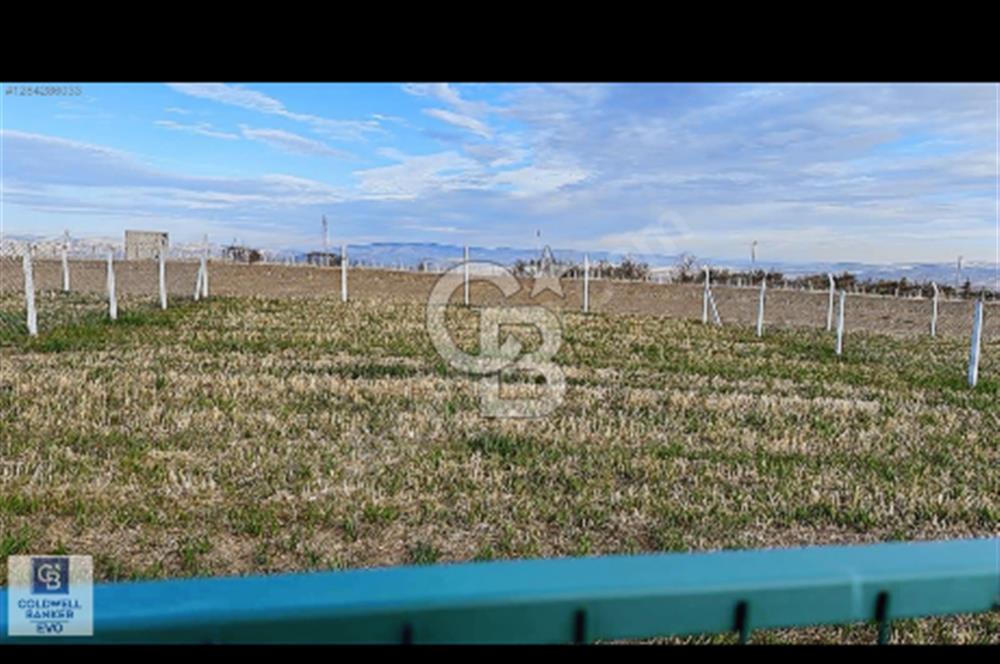 GÖLBAŞI HAYMANA YOLU ÜZERİNDE SATILIK HOBİ BAHÇESİ 400 m2