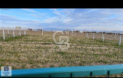 GÖLBAŞI HAYMANA YOLU ÜZERİNDE SATILIK HOBİ BAHÇESİ 400 m2