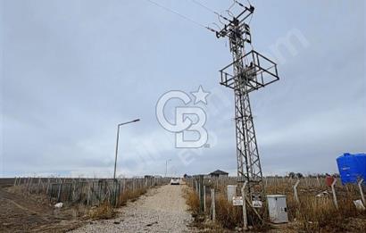 GÖLBAŞI HAYMANA YOLU ÜZERİNDE SATILIK HOBİ BAHÇESİ 400 m2