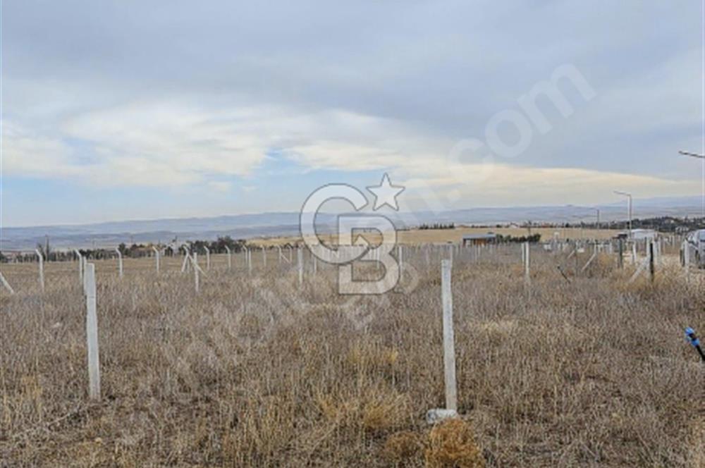 GÖLBAŞI HAYMANA YOLU ÜZERİNDE SATILIK HOBİ BAHÇESİ 400 m2