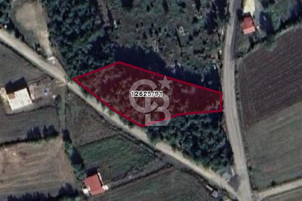 ATAKUM KAMALI KÖY İÇİNDE – İKİ YOLA CEPHELİ SATILIK TARLA HİSSESİ