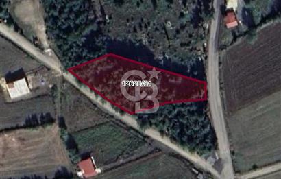 ATAKUM KAMALI KÖY İÇİNDE – İKİ YOLA CEPHELİ SATILIK TARLA HİSSESİ