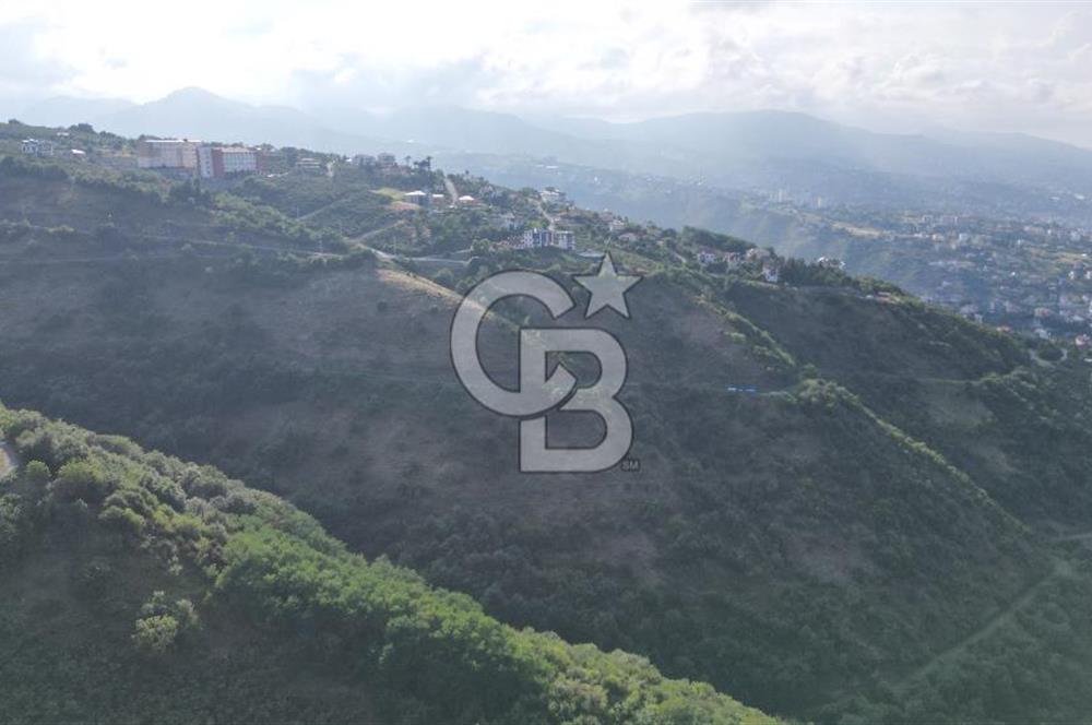 SÖĞÜTLÜ'DE SATILIK İMARLI ARSA