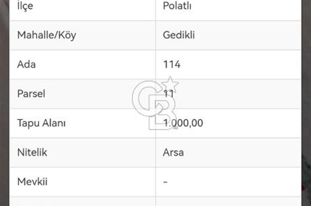 POLATLI GEDİKLİ'DE EKOLOJİK BAHÇELERE KOMŞU 4+1 MÜSTAKİL VİLLA