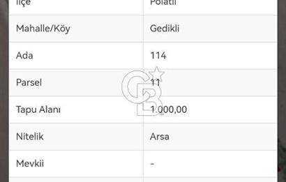 POLATLI GEDİKLİ'DE EKOLOJİK BAHÇELERE KOMŞU 4+1 MÜSTAKİL VİLLA