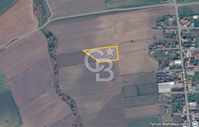 Çorlu Yenice Mahallesinde 3.534 M² Satılık Fırsat Tarla!