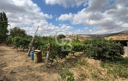 CB KİNG'DEN KARESİ ZİYARETLİ'DE VERİMLİ KÖY İÇİ SATILIK BAHÇE