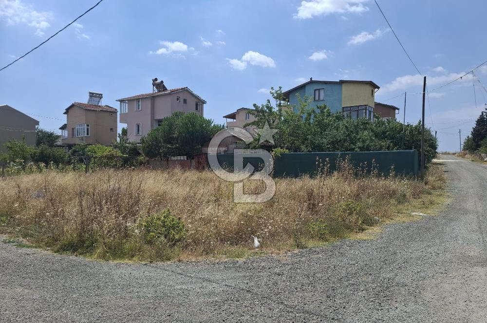 Marmaraereğlisi Sultanköy'de 146 m² Satılık Fırsat Arsa!