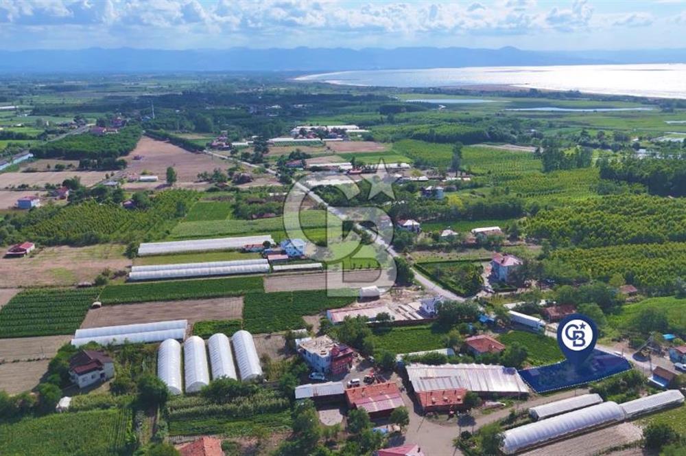 Çarşamba Çaltı'da Deniz ve Havalimanına Yakın Satılık Tarla