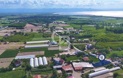 Çarşamba Çaltı'da Deniz ve Havalimanına Yakın Satılık Tarla