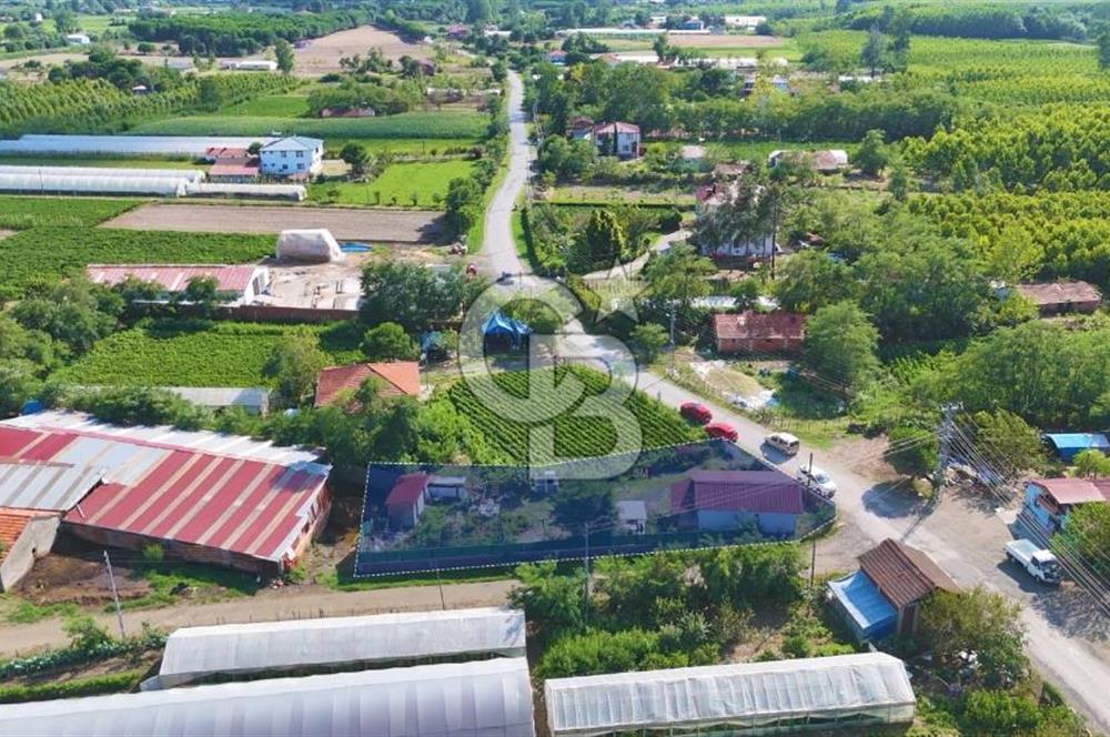 Çarşamba Çaltı'da Deniz ve Havalimanına Yakın Satılık Tarla