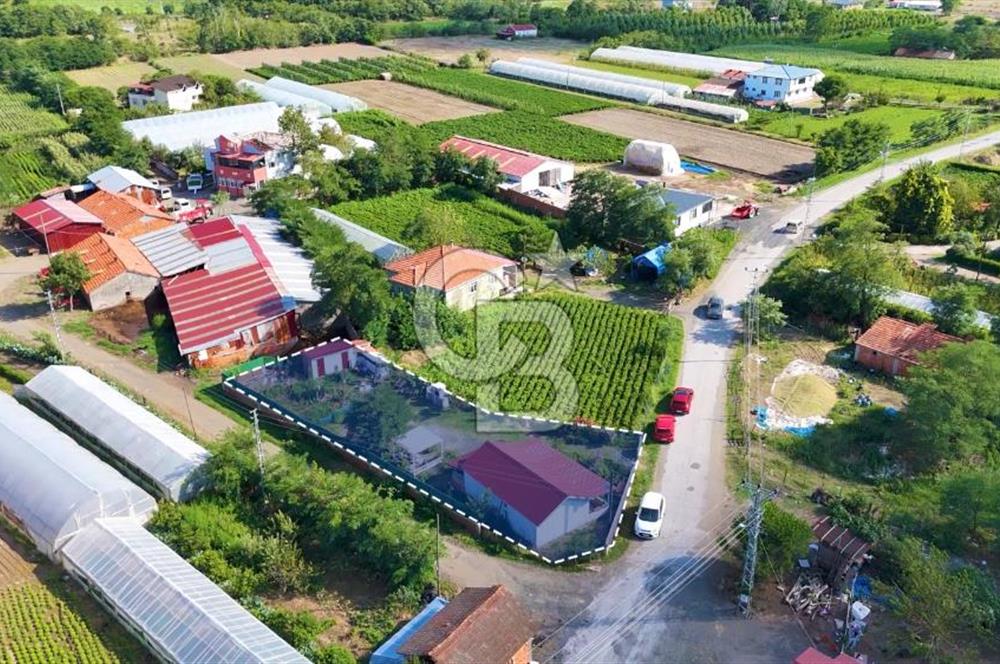 Çarşamba Çaltı'da Deniz ve Havalimanına Yakın Satılık Tarla
