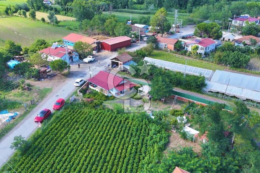 Çarşamba Çaltı'da Deniz ve Havalimanına Yakın Satılık Tarla