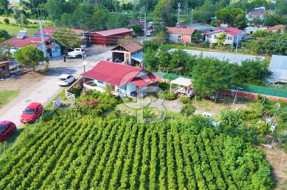 Çarşamba Çaltı'da Deniz ve Havalimanına Yakın Satılık Tarla