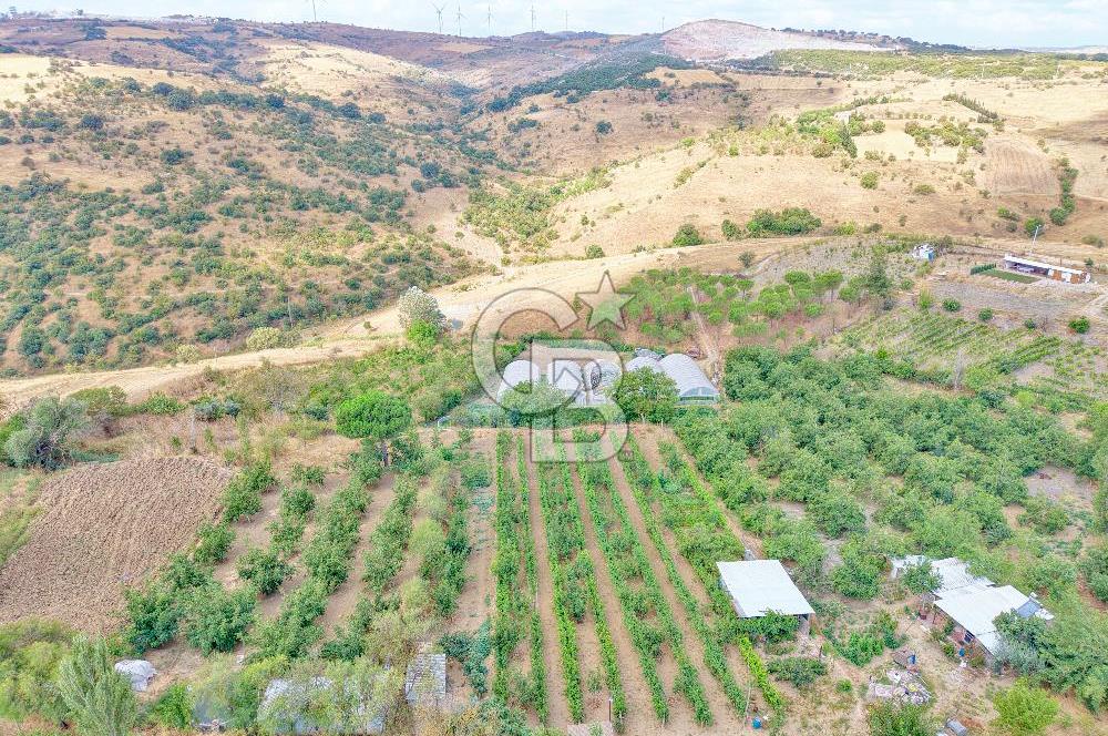CB KİNG'DEN KARESİ ZİYARETLİ'DE VERİMLİ KÖY İÇİ SATILIK BAHÇE