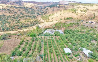 CB KİNG'DEN KARESİ ZİYARETLİ'DE VERİMLİ KÖY İÇİ SATILIK BAHÇE