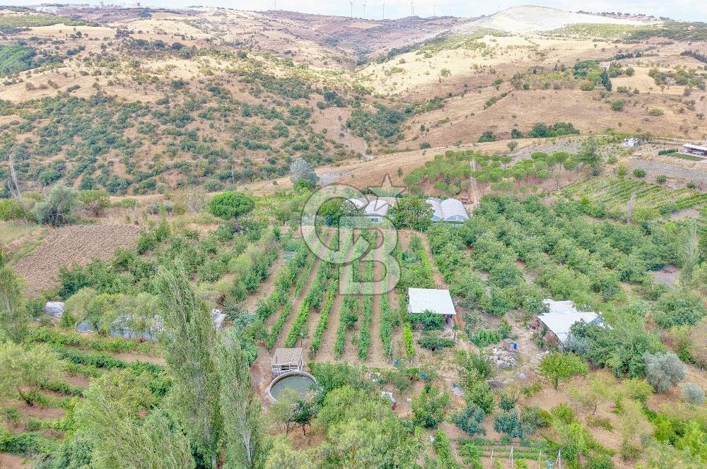 CB KİNG'DEN KARESİ ZİYARETLİ'DE VERİMLİ KÖY İÇİ SATILIK BAHÇE