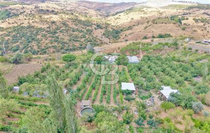 CB KİNG'DEN KARESİ ZİYARETLİ'DE VERİMLİ KÖY İÇİ SATILIK BAHÇE