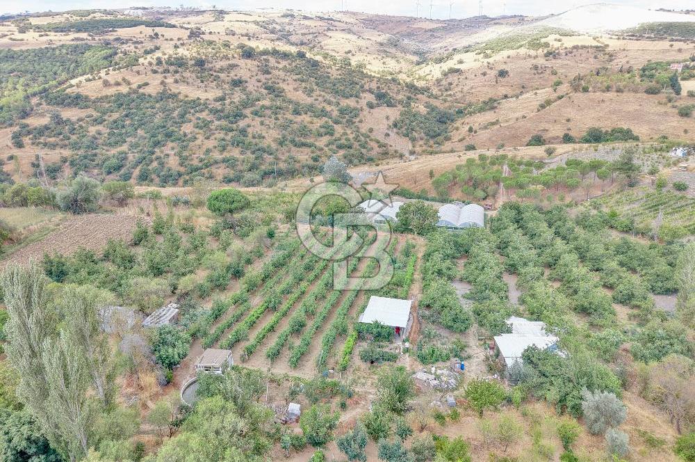 CB KİNG'DEN KARESİ ZİYARETLİ'DE VERİMLİ KÖY İÇİ SATILIK BAHÇE