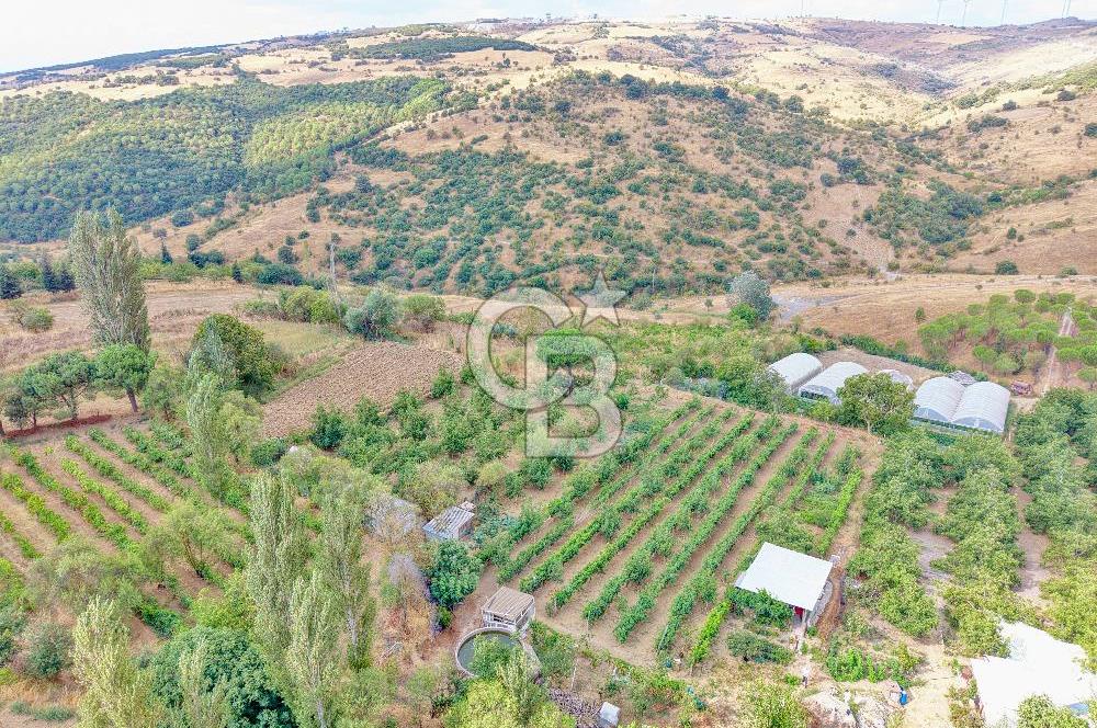 CB KİNG'DEN KARESİ ZİYARETLİ'DE VERİMLİ KÖY İÇİ SATILIK BAHÇE