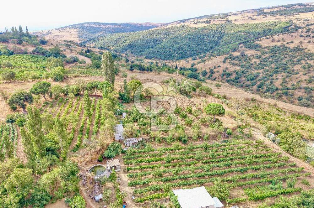 CB KİNG'DEN KARESİ ZİYARETLİ'DE VERİMLİ KÖY İÇİ SATILIK BAHÇE