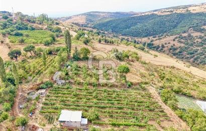 CB KİNG'DEN KARESİ ZİYARETLİ'DE VERİMLİ KÖY İÇİ SATILIK BAHÇE