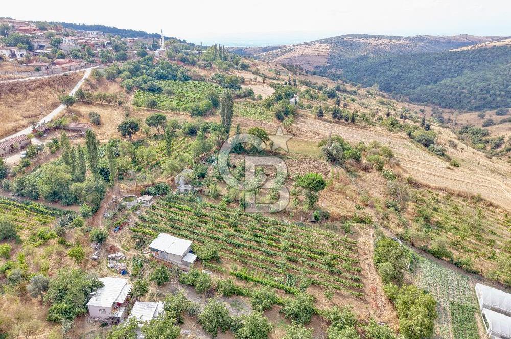 CB KİNG'DEN KARESİ ZİYARETLİ'DE VERİMLİ KÖY İÇİ SATILIK BAHÇE