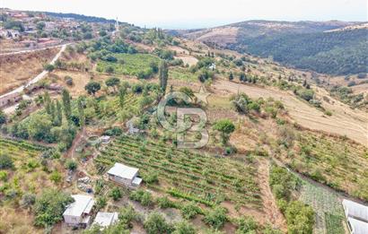 CB KİNG'DEN KARESİ ZİYARETLİ'DE VERİMLİ KÖY İÇİ SATILIK BAHÇE