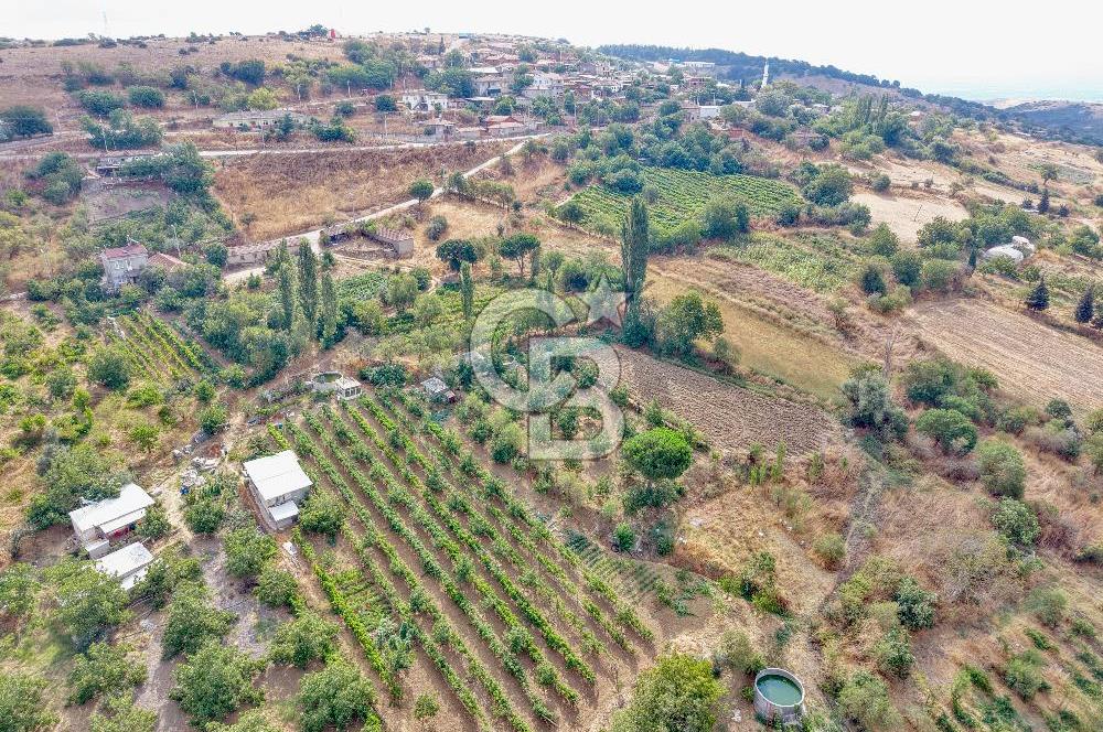 CB KİNG'DEN KARESİ ZİYARETLİ'DE VERİMLİ KÖY İÇİ SATILIK BAHÇE