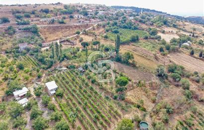 CB KİNG'DEN KARESİ ZİYARETLİ'DE VERİMLİ KÖY İÇİ SATILIK BAHÇE