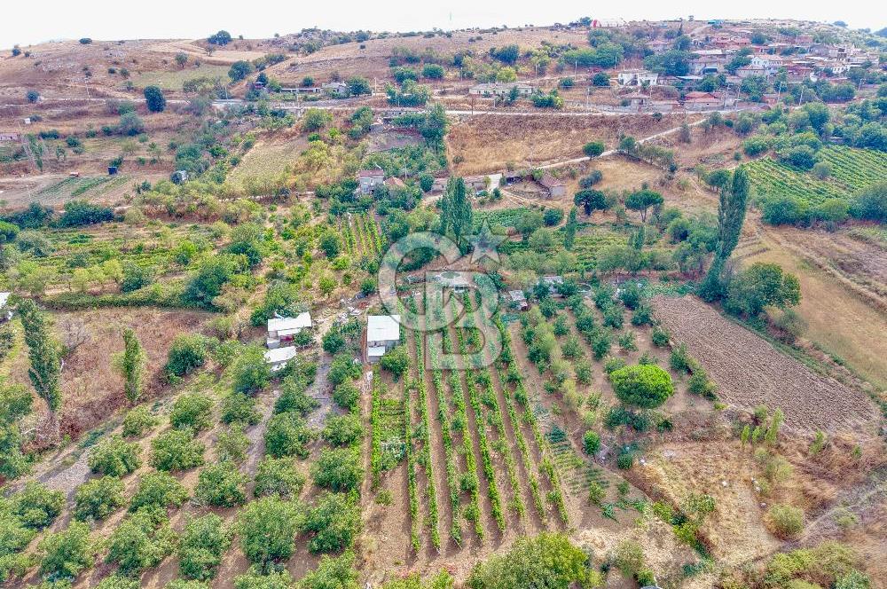 CB KİNG'DEN KARESİ ZİYARETLİ'DE VERİMLİ KÖY İÇİ SATILIK BAHÇE