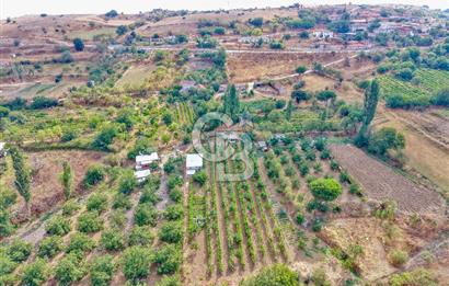 CB KİNG'DEN KARESİ ZİYARETLİ'DE VERİMLİ KÖY İÇİ SATILIK BAHÇE