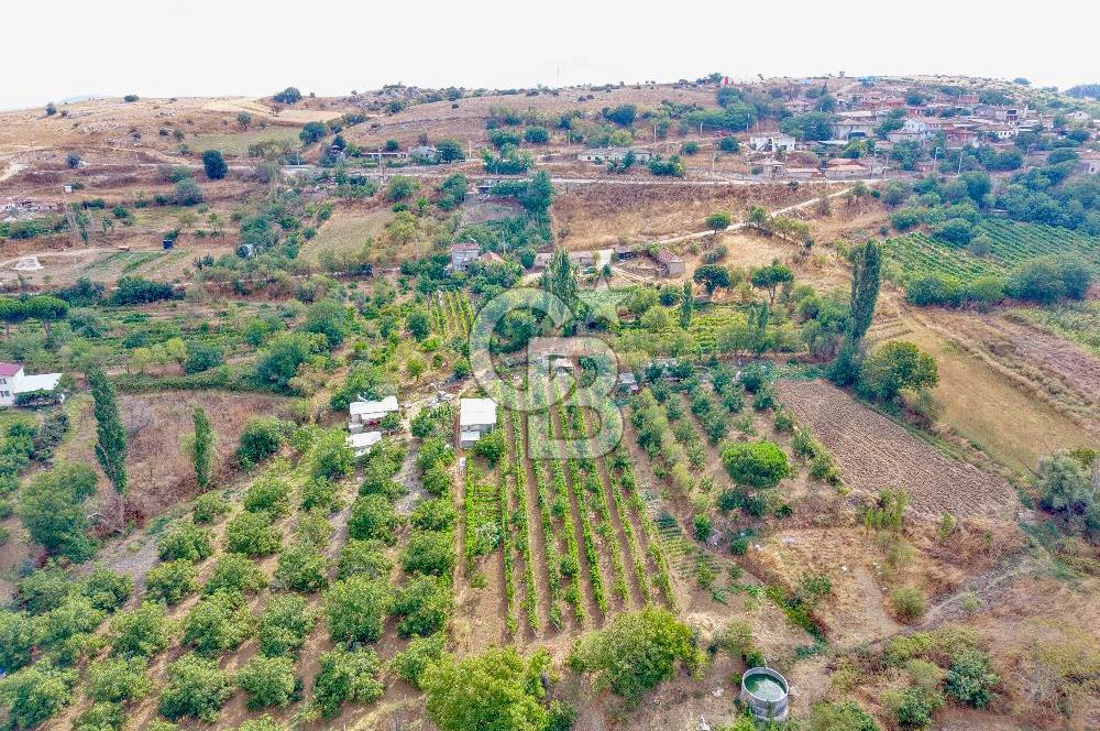 CB KİNG'DEN KARESİ ZİYARETLİ'DE VERİMLİ KÖY İÇİ SATILIK BAHÇE