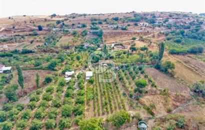 CB KİNG'DEN KARESİ ZİYARETLİ'DE VERİMLİ KÖY İÇİ SATILIK BAHÇE