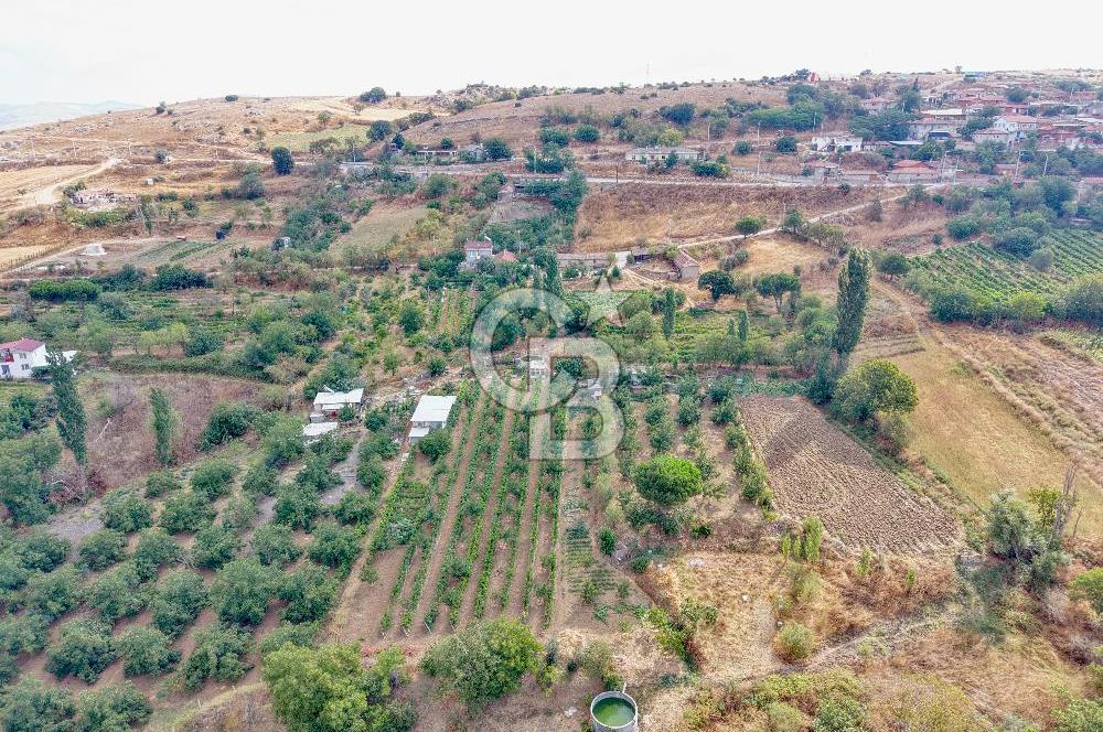 CB KİNG'DEN KARESİ ZİYARETLİ'DE VERİMLİ KÖY İÇİ SATILIK BAHÇE