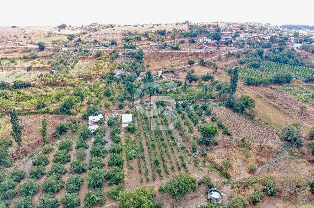 CB KİNG'DEN KARESİ ZİYARETLİ'DE VERİMLİ KÖY İÇİ SATILIK BAHÇE