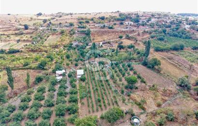 CB KİNG'DEN KARESİ ZİYARETLİ'DE VERİMLİ KÖY İÇİ SATILIK BAHÇE