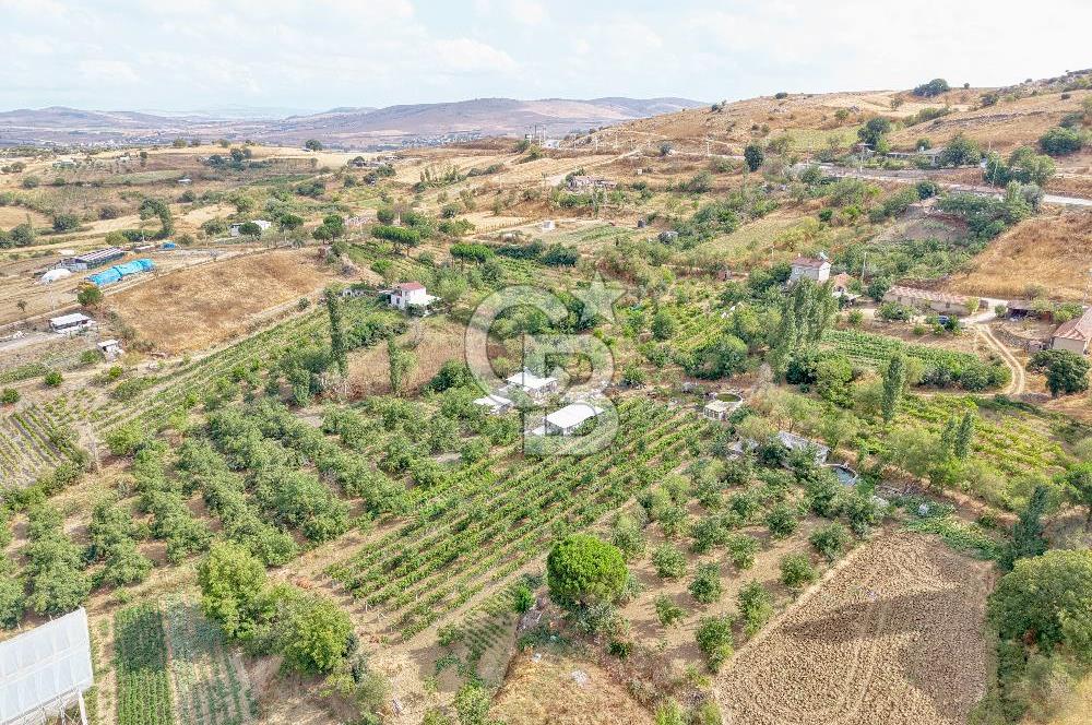 CB KİNG'DEN KARESİ ZİYARETLİ'DE VERİMLİ KÖY İÇİ SATILIK BAHÇE
